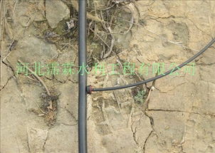 2016年湖北武漢果園滴灌毛管新產品 高效節水的管道安裝之道